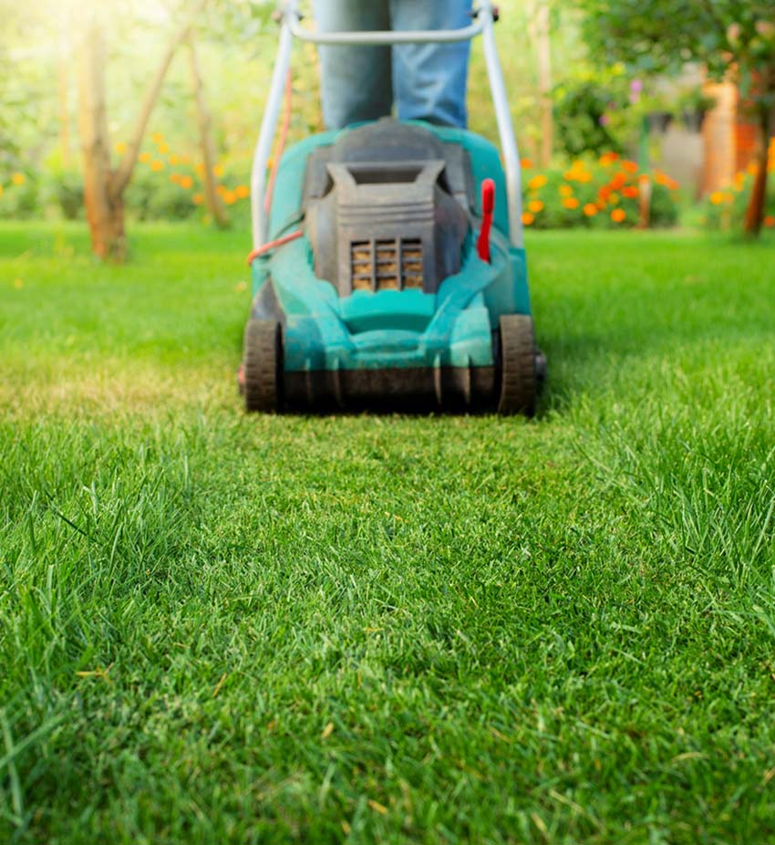 kennedy & sons lawn service 2