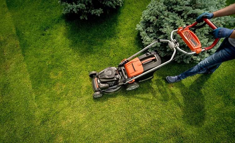 kennedy & sons lawn service 3